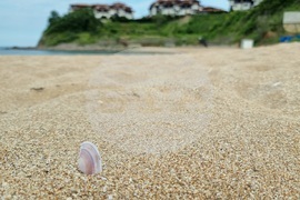 Созопол - плаж "Дюни Юг" - "Син флаг“