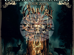 Soulfly обявиха басиста за турнето „Spirit Animal“, снимка – организатори