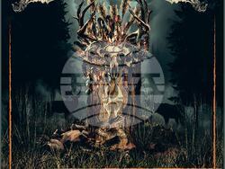 Soulfly обявиха басиста за турнето „Spirit Animal“, снимка – организатори