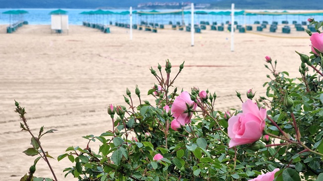 Duni Beach Prepares for Start of Tourist Season