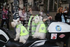 Сърбия - протест