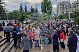 Сдружение на палестинците в България - мирен протест