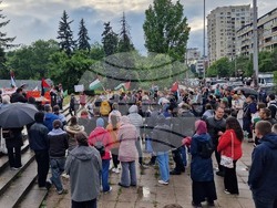 Сдружение на палестинците в България - мирен протест