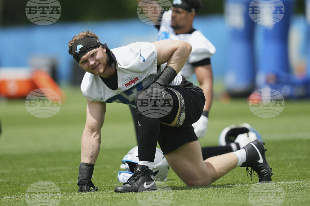 Lions Football
