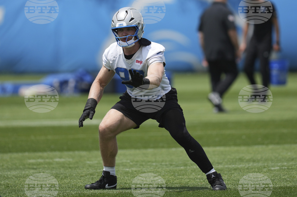 Lions Football