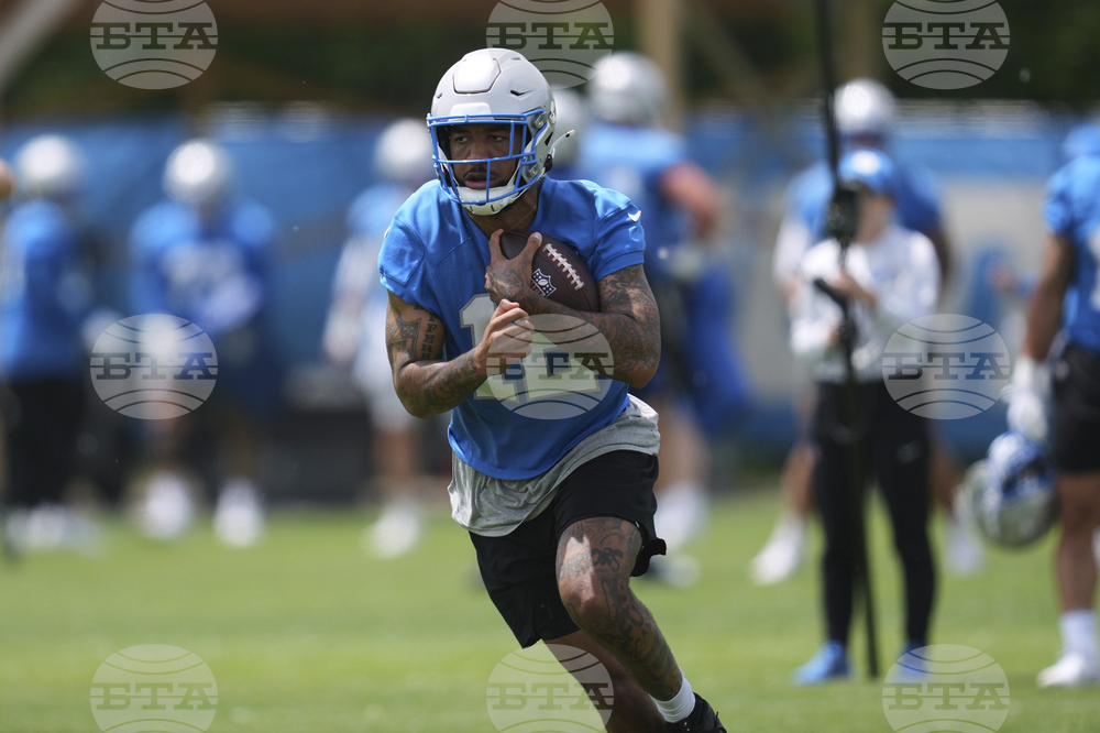 Lions Football