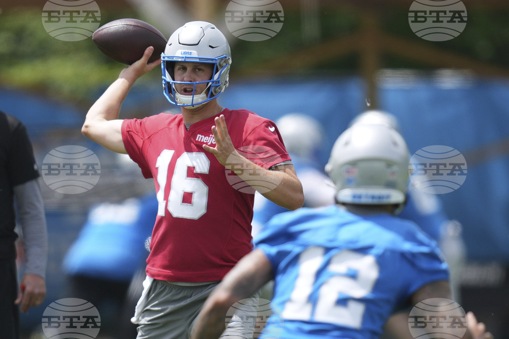 Lions Football