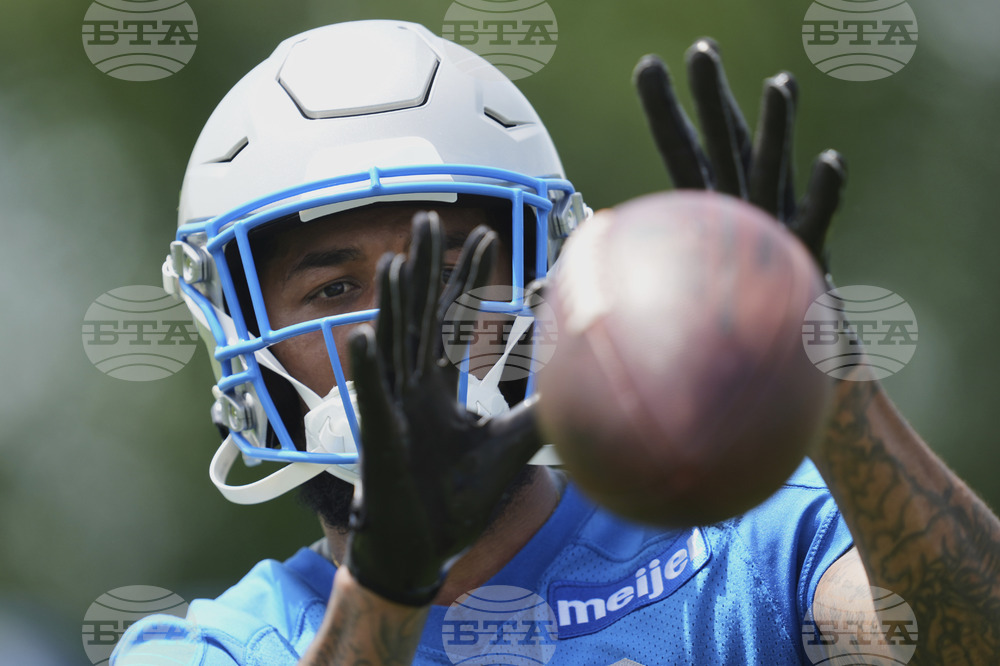 Lions Football