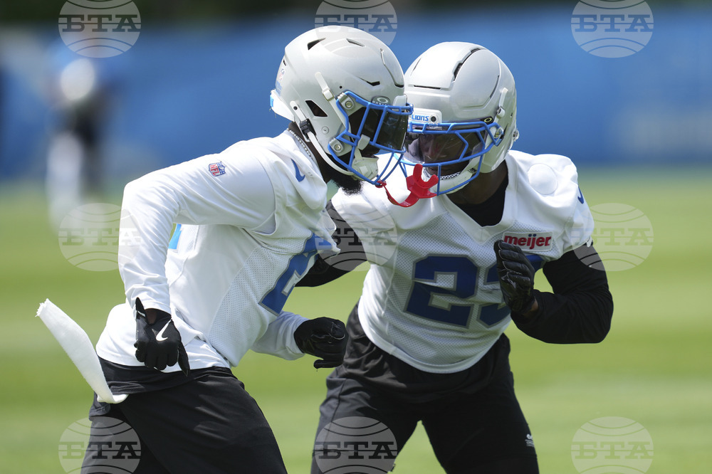 Lions Football
