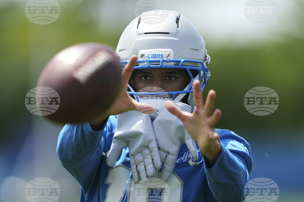 Lions Football