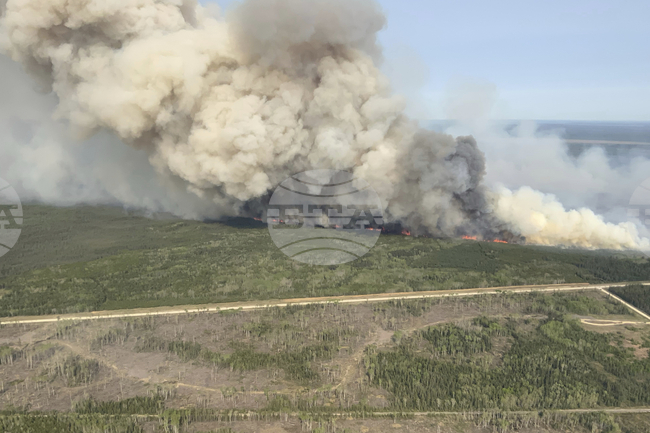 Горски пожар обхвана къщи и предизвика евакуация в областта Атика