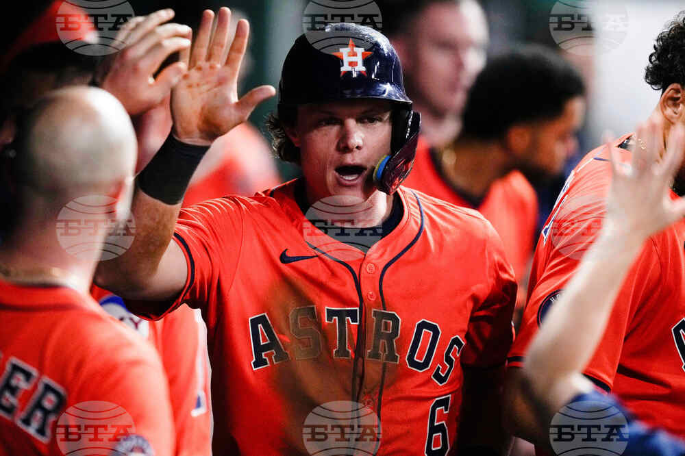 Rays Astros Baseball