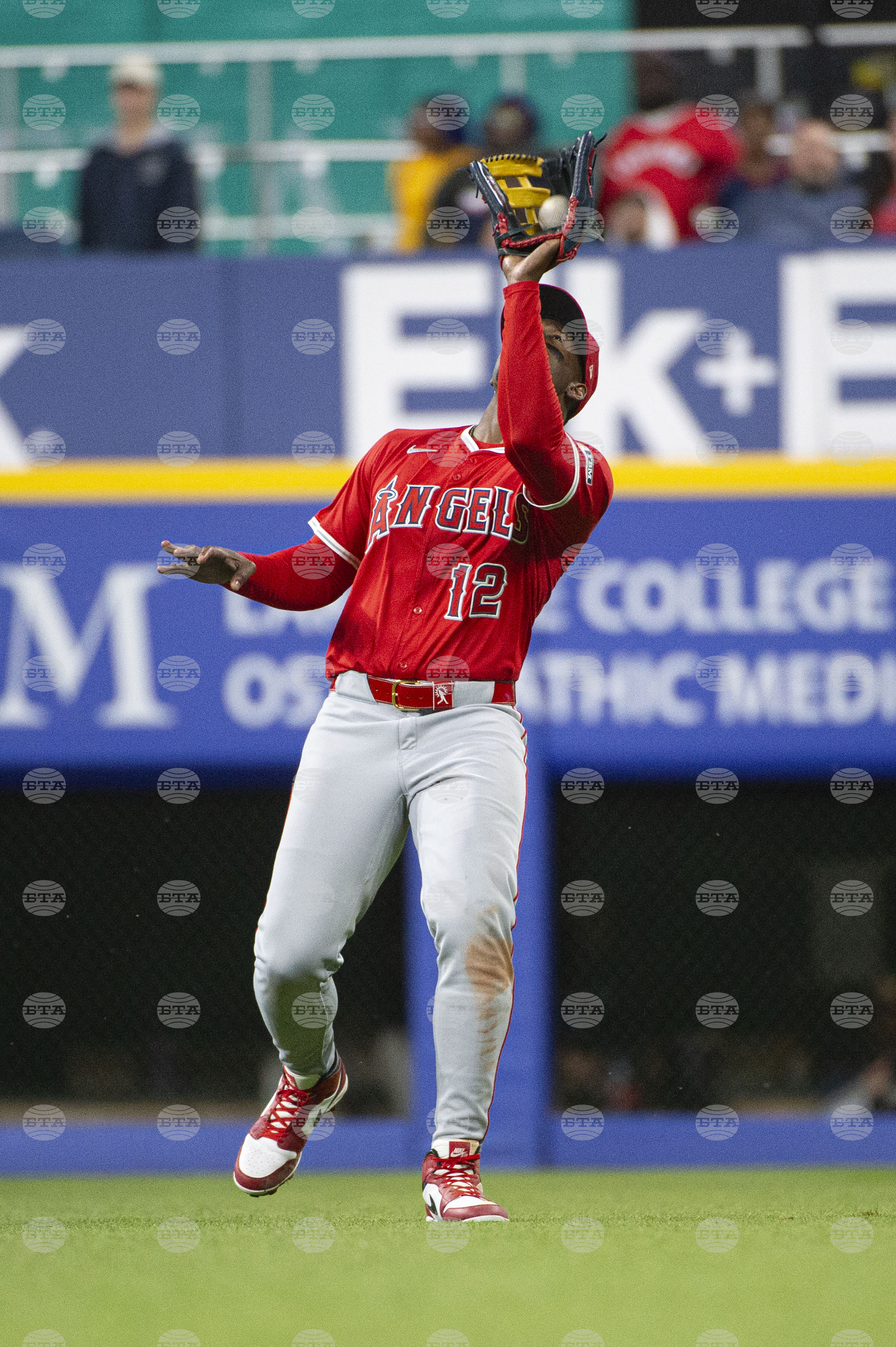 Angels Guardians Baseball
