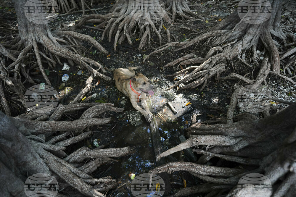 APTOPIX Everglades Drought