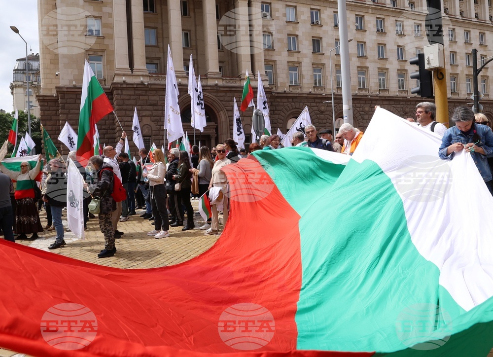 „Искаме си лева! Искаме си референдума“ - протест
