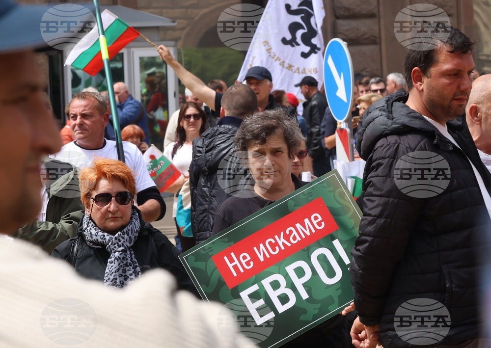 „Искаме си лева! Искаме си референдума“ - протест