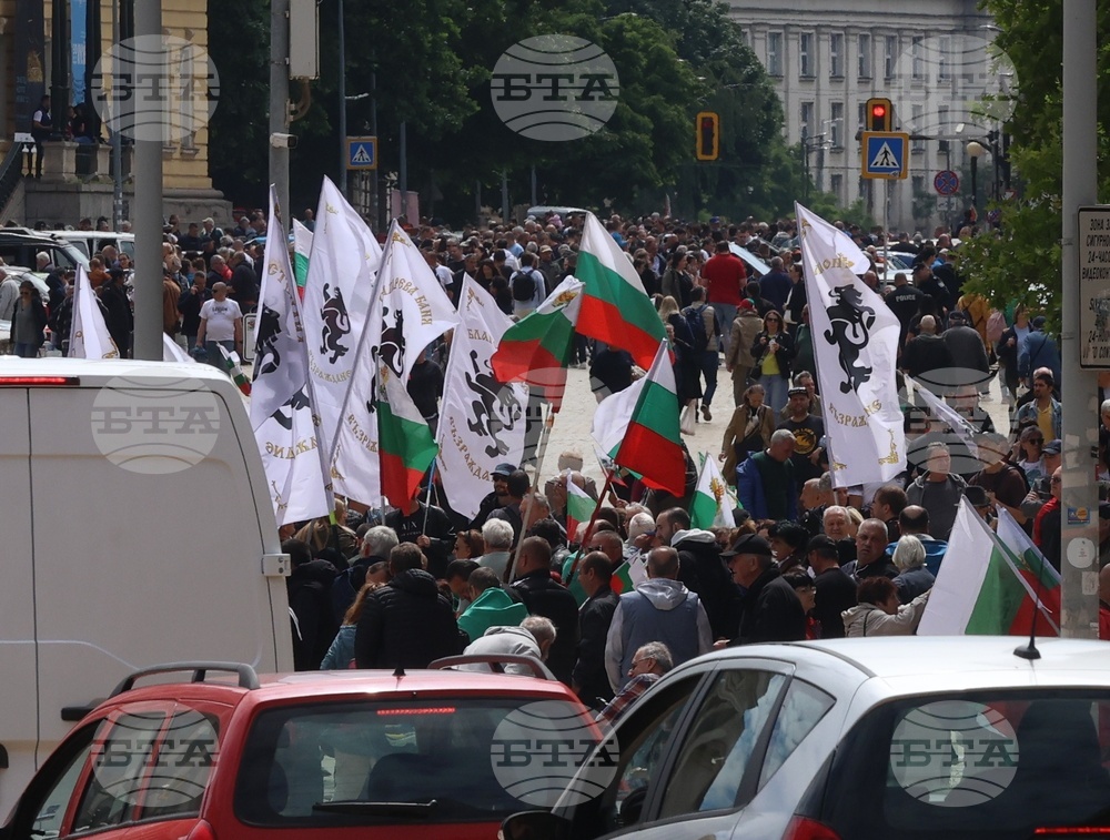 „Искаме си лева! Искаме си референдума“ - протест