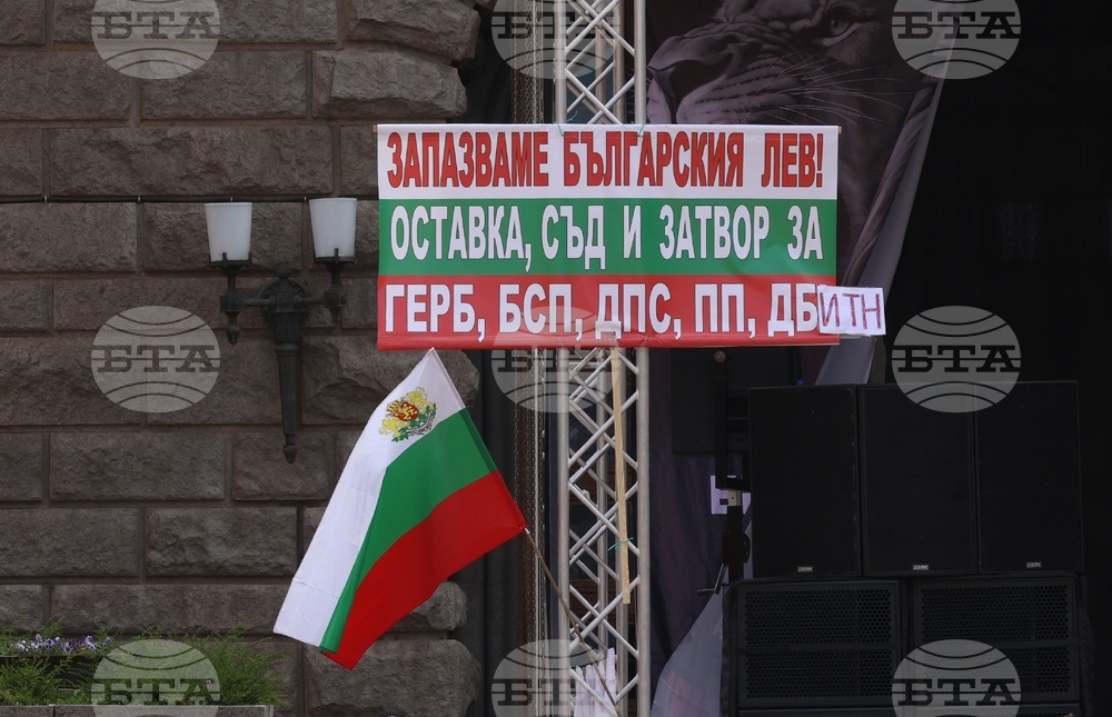 „Искаме си лева! Искаме си референдума“ - протест