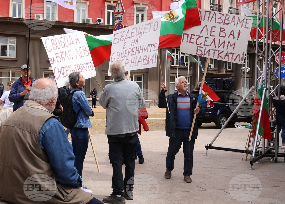 „Искаме си лева! Искаме си референдума“ - протест