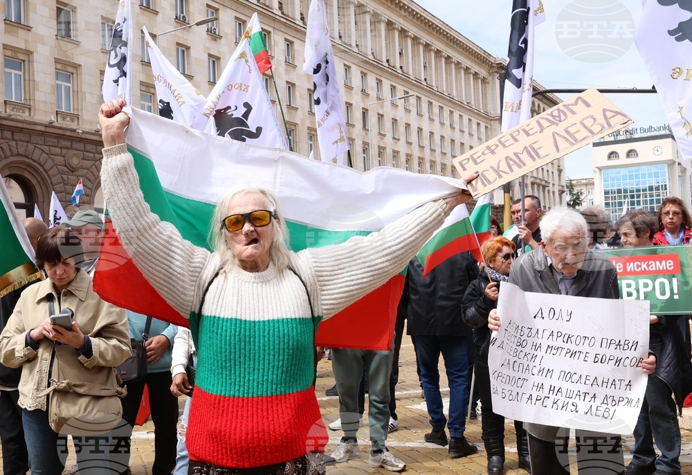 „Искаме си лева! Искаме си референдума“ - протест