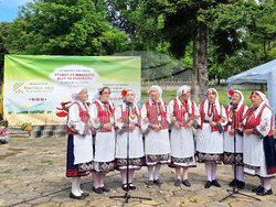 Разград - кулинарен фестивал