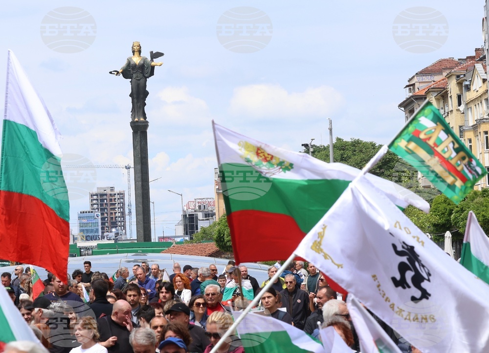 „Искаме си лева! Искаме си референдума“ - протест