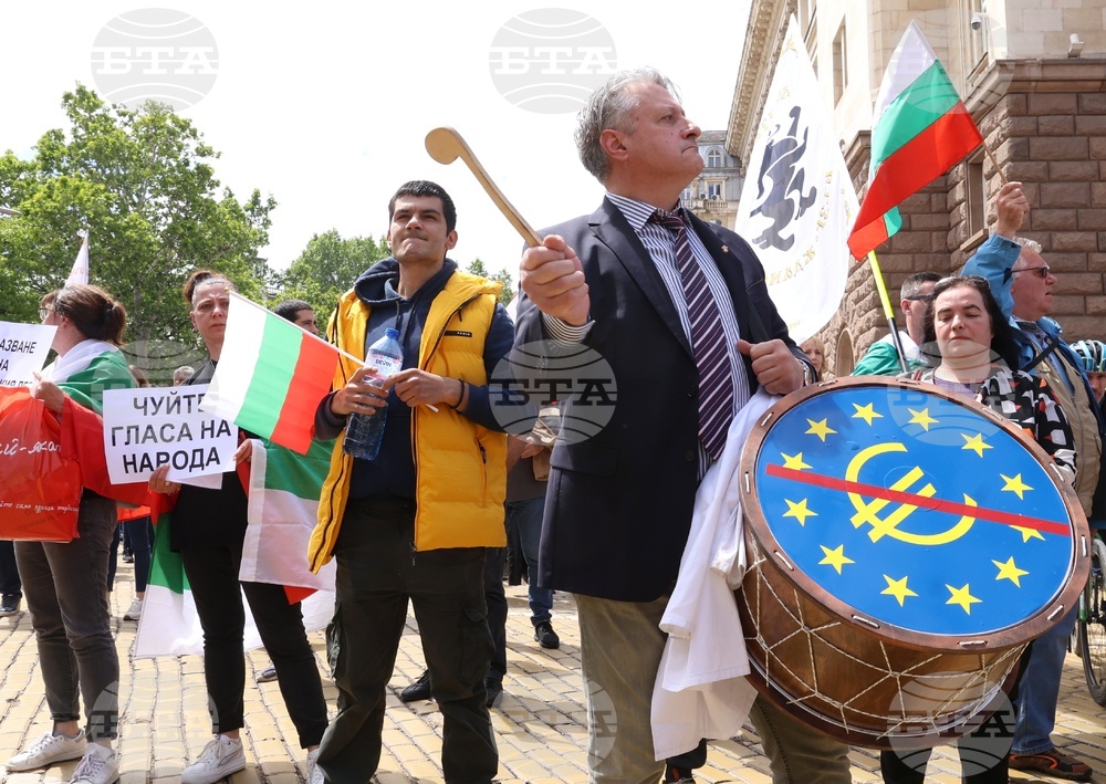 „Искаме си лева! Искаме си референдума“ - протест
