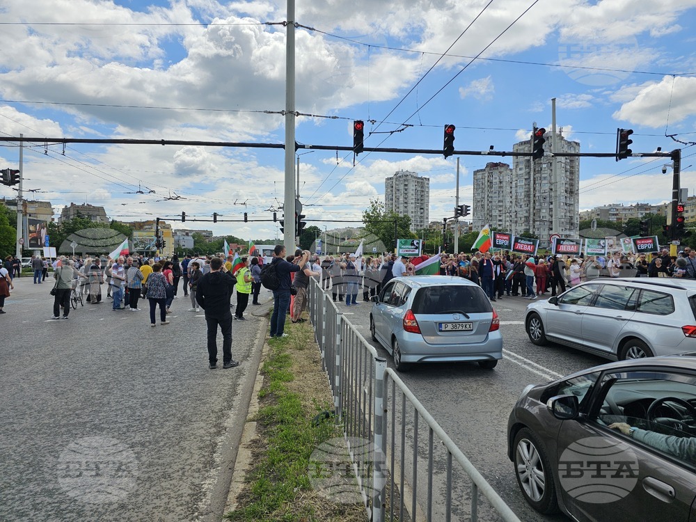 Русе - протест срещу еврото
