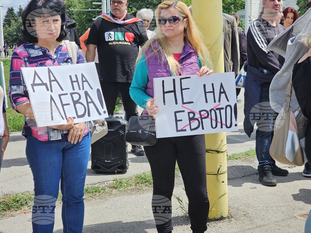 Русе - протест срещу еврото