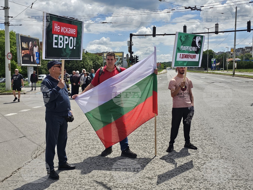 Русе - протест срещу еврото
