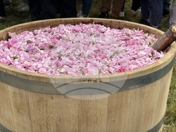 Казанлък - розобер