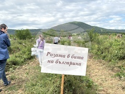 Казанлък - розобер