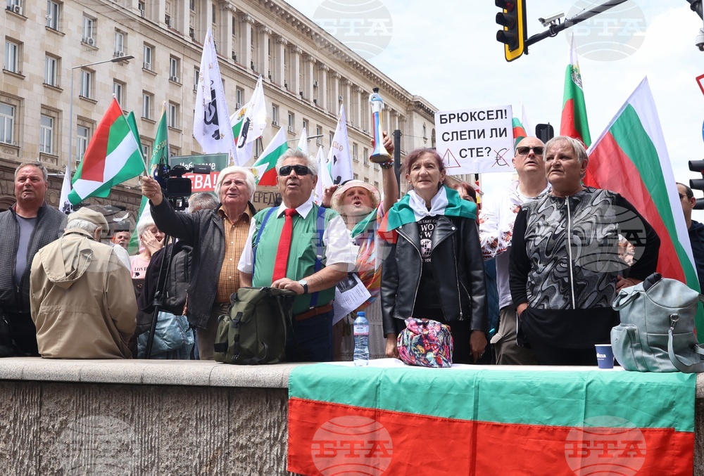 „Искаме си лева! Искаме си референдума“ - протест