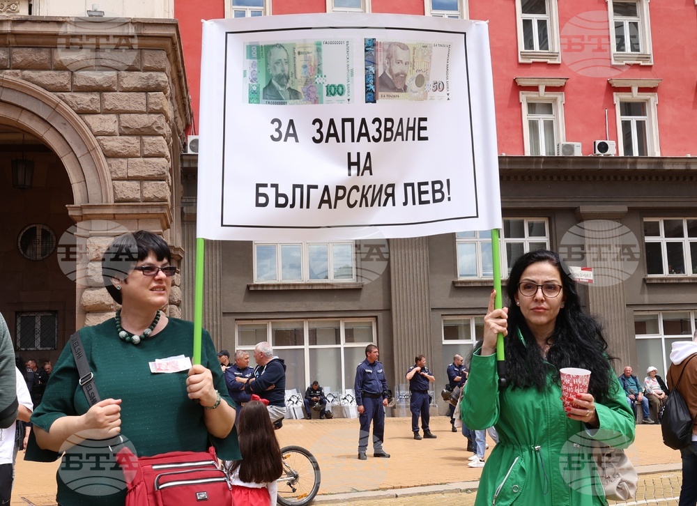 „Искаме си лева! Искаме си референдума“ - протест