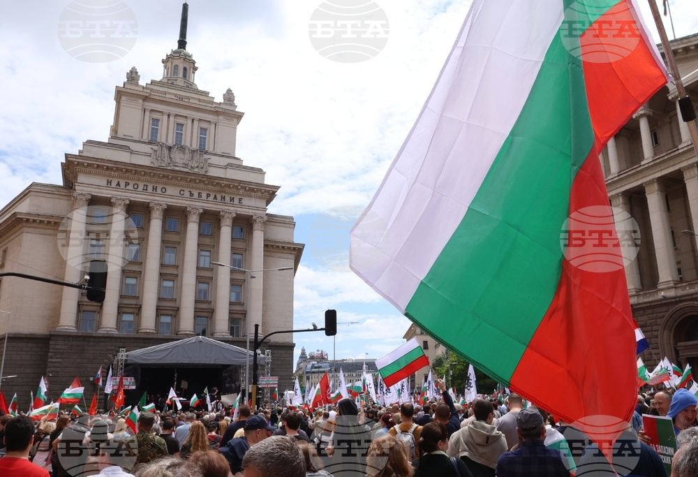 „Искаме си лева! Искаме си референдума“ - протест