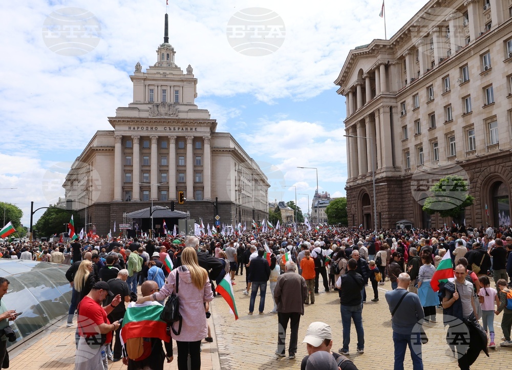 „Искаме си лева! Искаме си референдума“ - протест