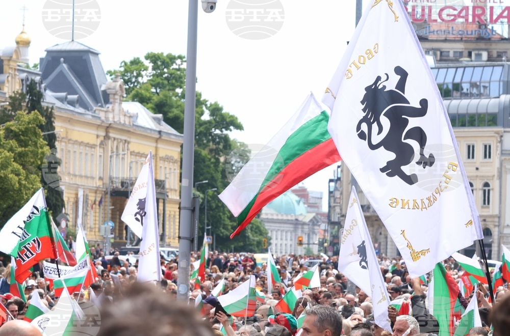 „Искаме си лева! Искаме си референдума“ - протест