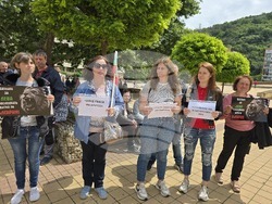 Ловеч - протест - евро