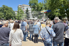 Добрич - протест срещу еврото