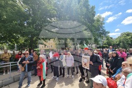 Перник - протест за запазване на българския лев