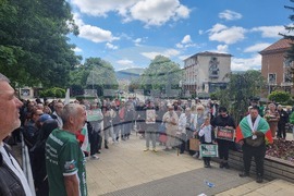 Перник - протест за запазване на българския лев