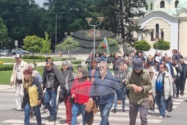 Перник - протест за запазване на българския лев