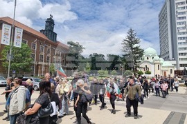 Перник - протест за запазване на българския лев