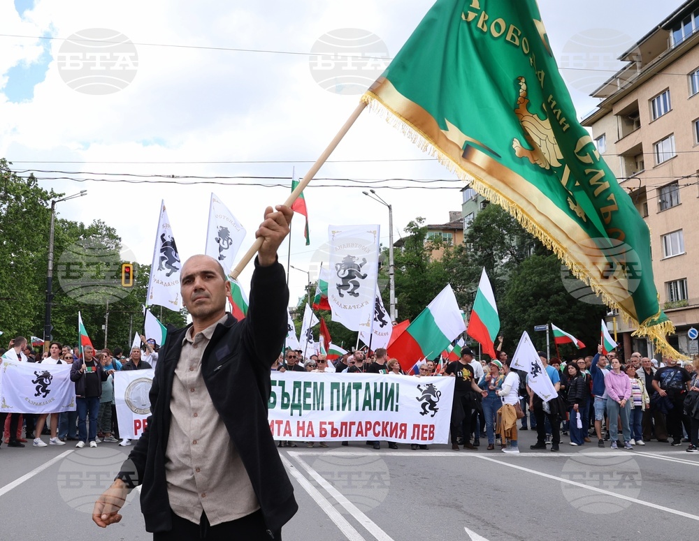„Искаме си лева! Искаме си референдума“ - протест
