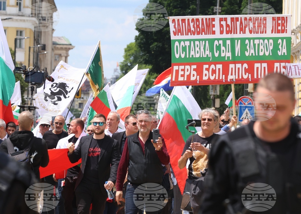 „Искаме си лева! Искаме си референдума“ - протест