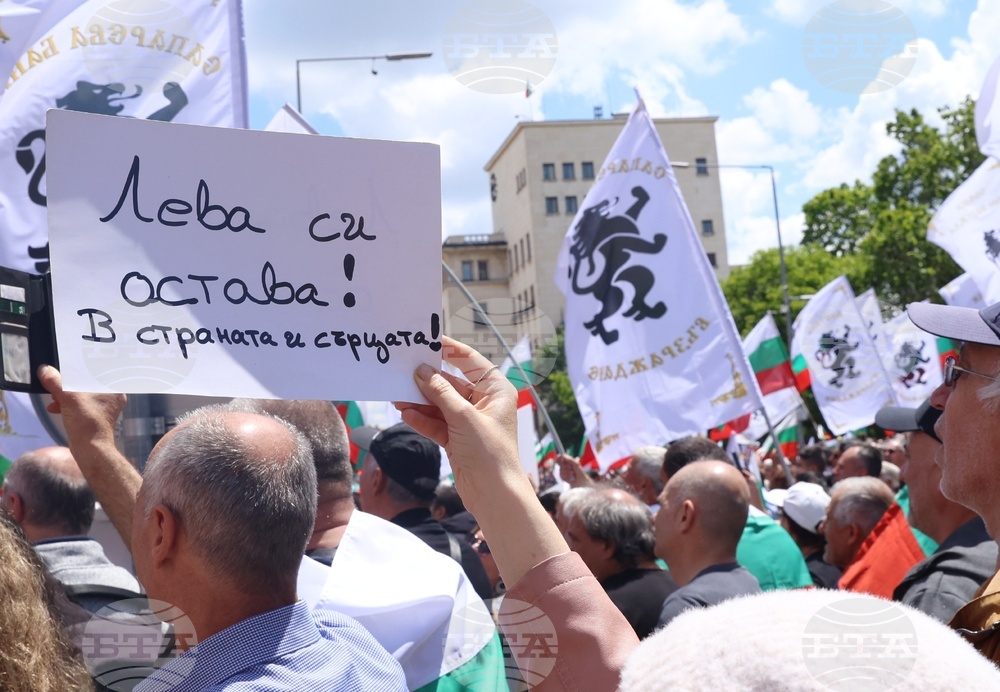 „Искаме си лева! Искаме си референдума“ - протест