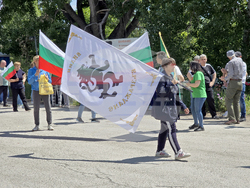 Видин - международен път Е79 - запазване на българския лев - протест