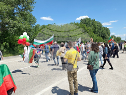 Видин - международен път Е79 - запазване на българския лев - протест