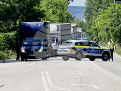 Видин - международен път Е79 - запазване на българския лев - протест