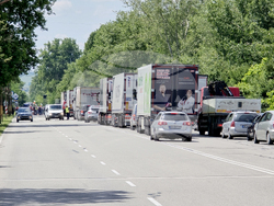 Видин - международен път Е79 - запазване на българския лев - протест